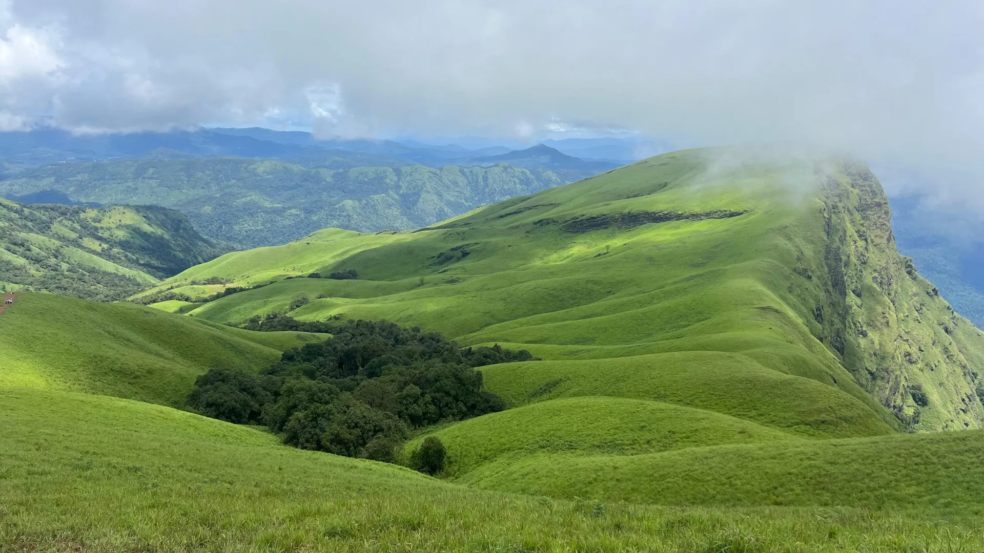 Kudremukh trek grassland