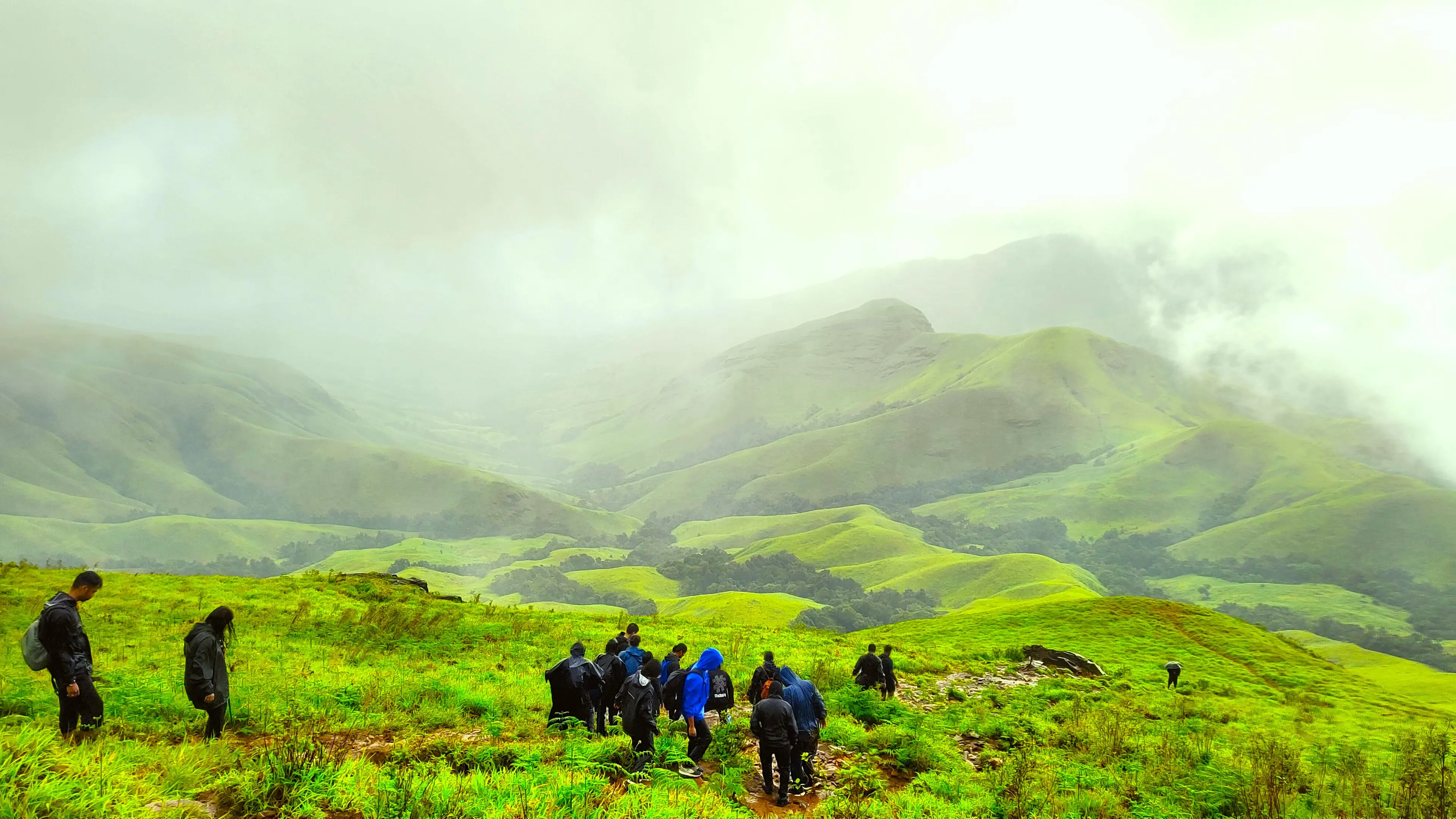 Kudremukh trek camp